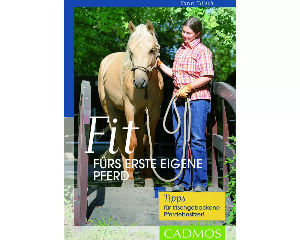 Fit fürs erste eigene Pferd