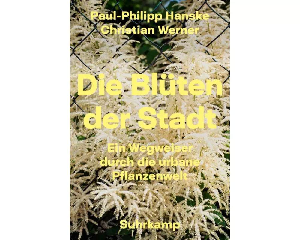 Die Blüten der Stadt