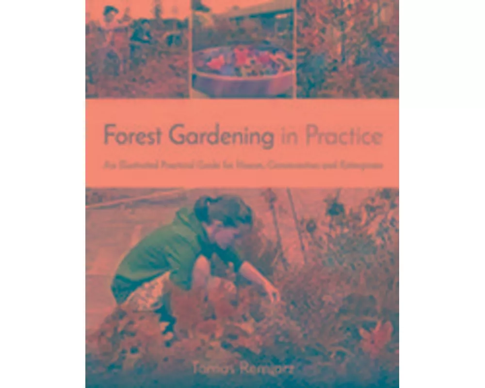 Forest Gardening in Practice: An Illustrated Practical Guide for Homes, Communities and Enterprises