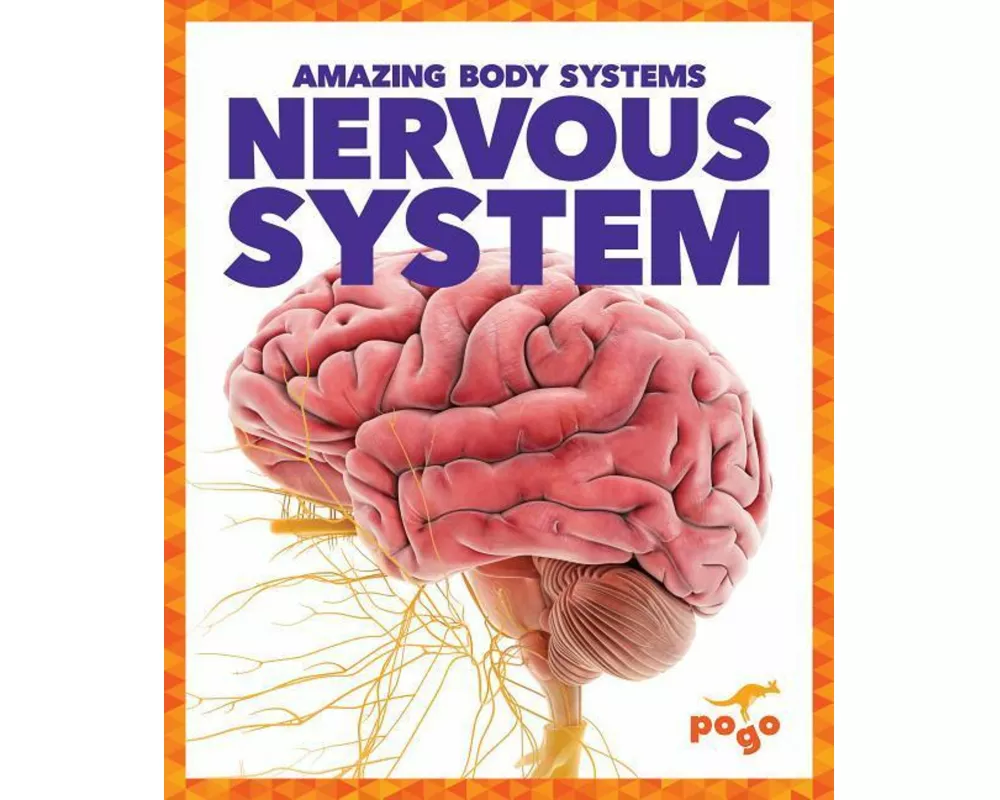 Nervous System