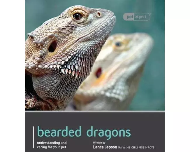 Bearded Dragon - Pet Expert