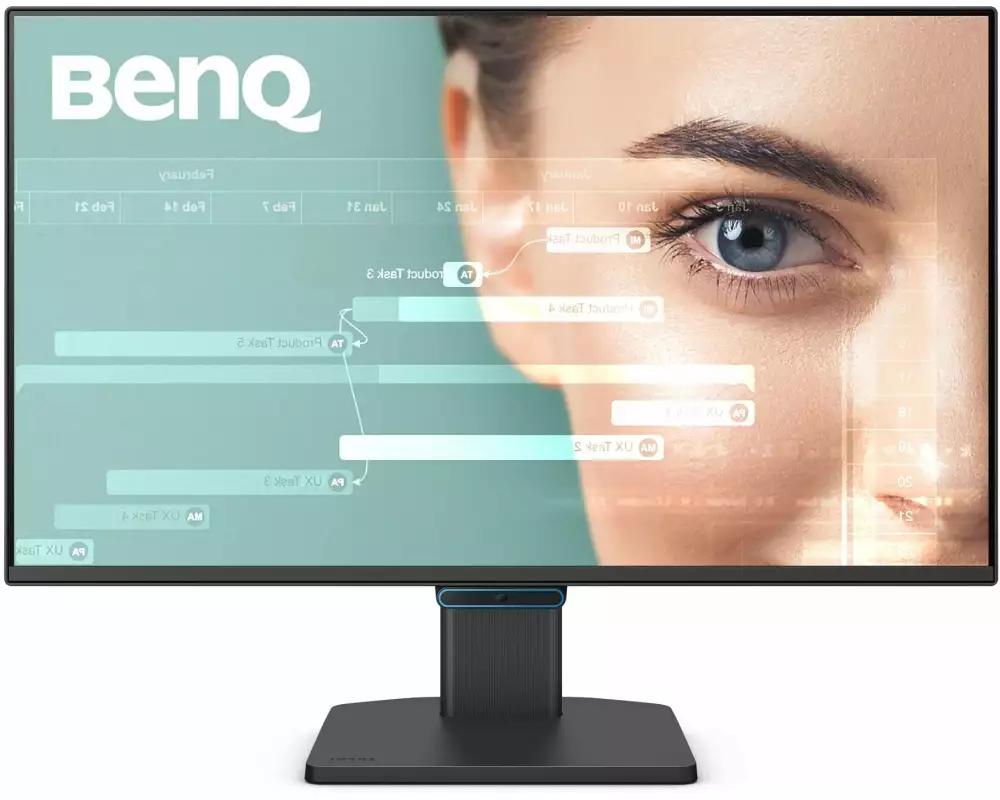BenQ Monitor BL2490C