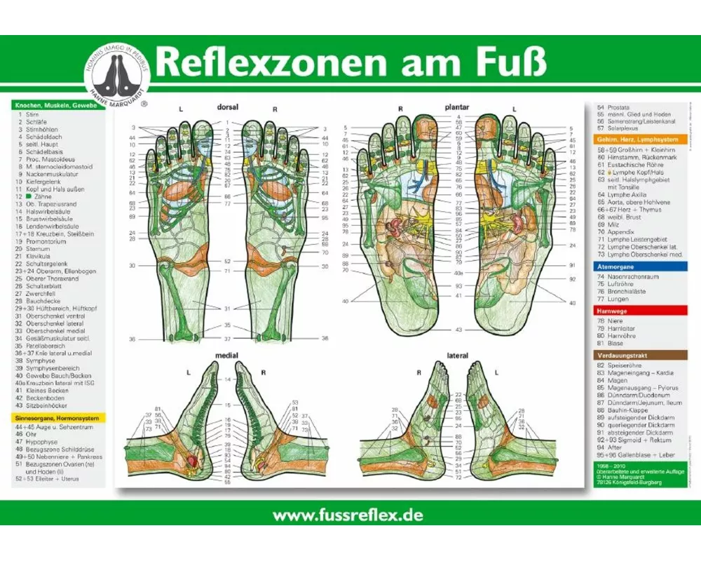 Reflexzonen am Fuß (A2)