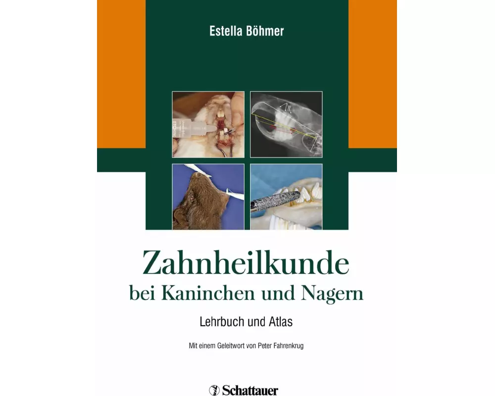 Zahnheilkunde bei Kaninchen und Nagern