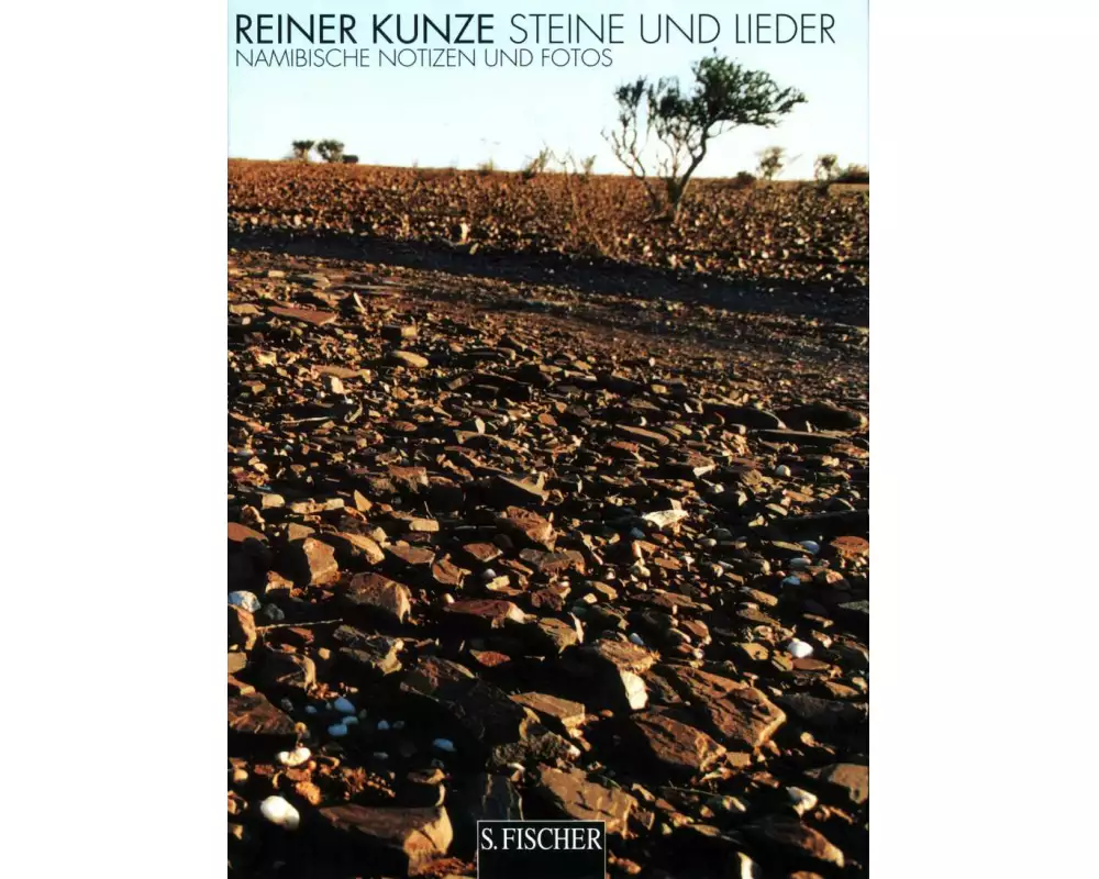 Steine und Lieder