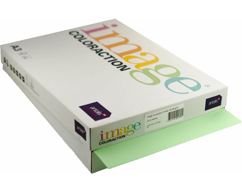 IMAGE COLORACTION Kopierpapier Forest A3 266448 80g, grün 500 Blatt