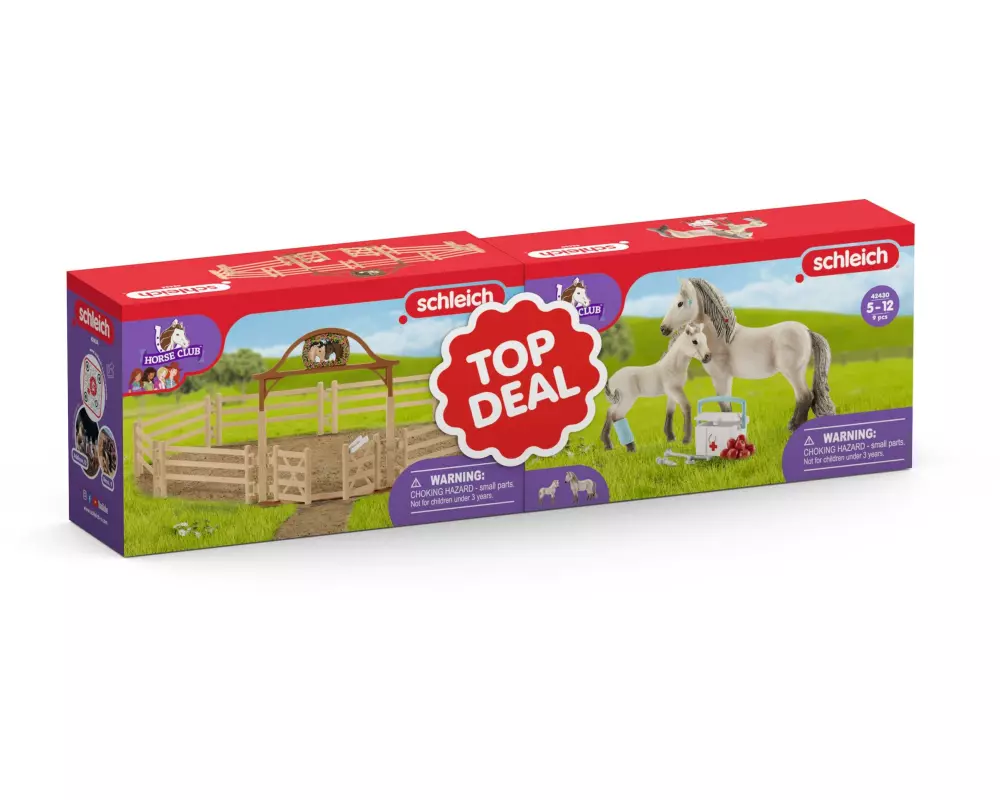 Schleich Horse Club Set