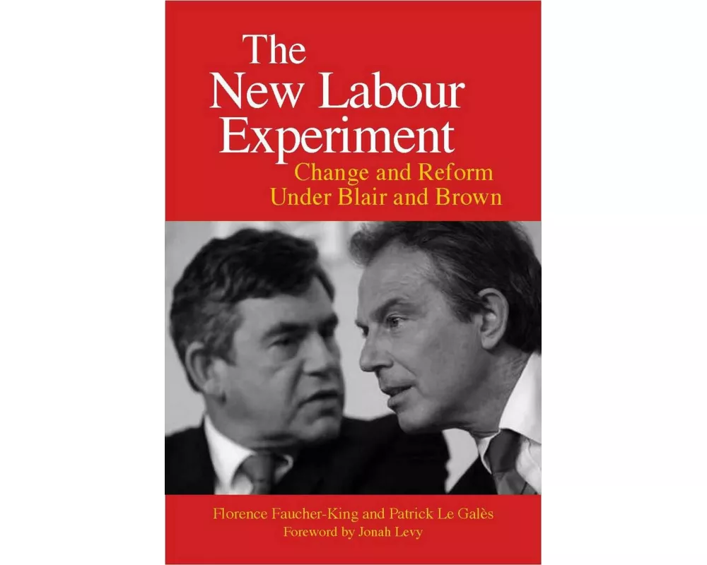 The New Labour Experiment