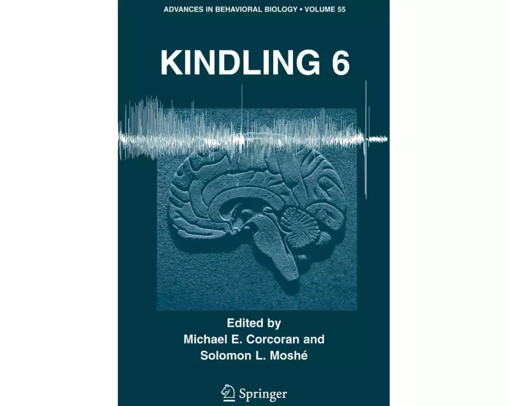 Kindling 6