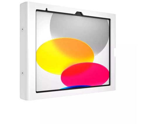 iPad 10.9" 10th Gen Swell Enc WallMnt WT