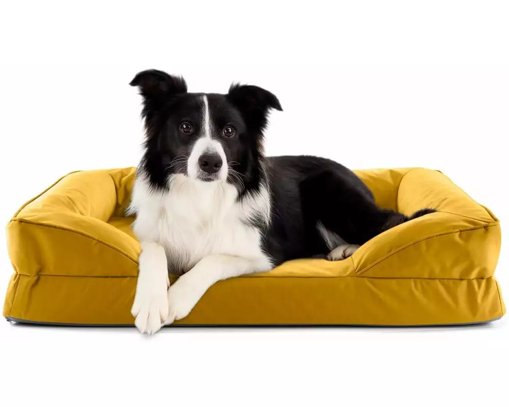 Lumaland Hundebett In-& Outdoor M Senfgelb