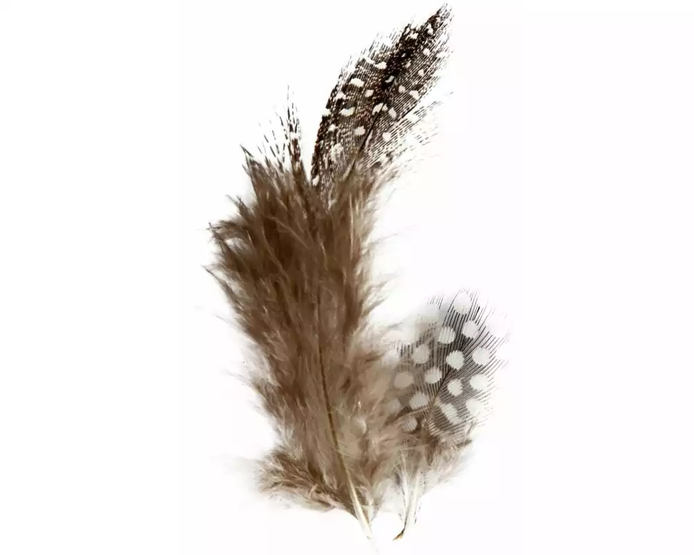 Creativ Company Federn Perlhuhn 100 Stück, Braun