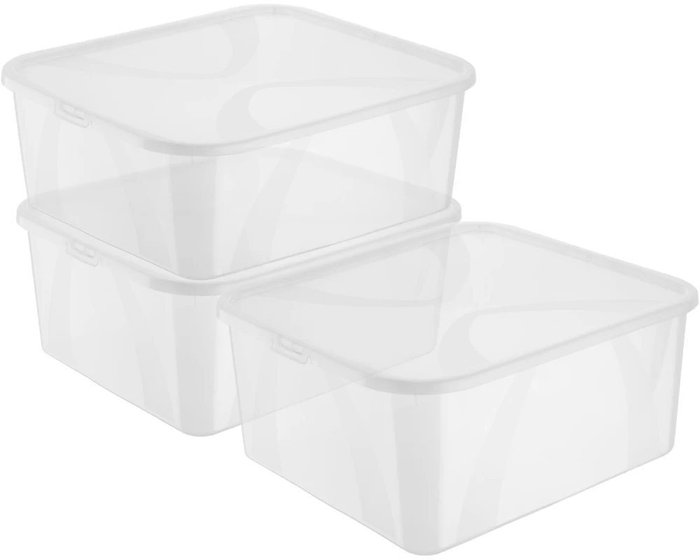 Rotho Aufbewahrungsbox ARCO Transparent, 3 tlg.
