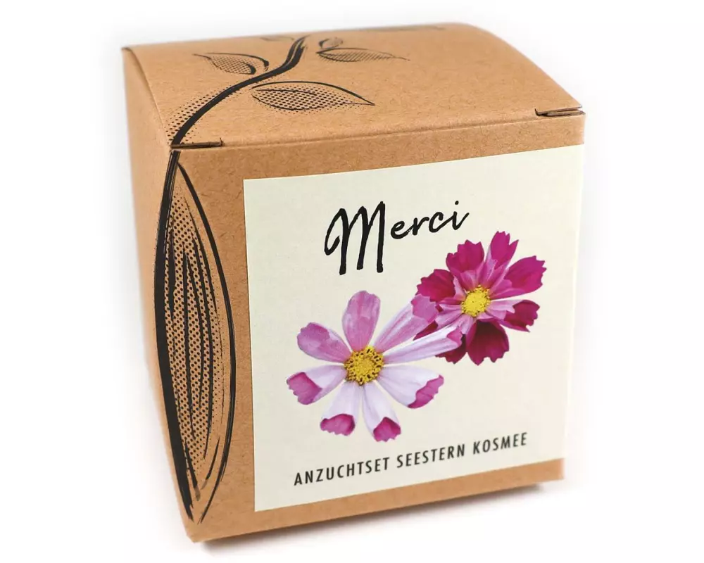 Naturkraftwerk Anzuchtset Merci mit Seestern Kosmee