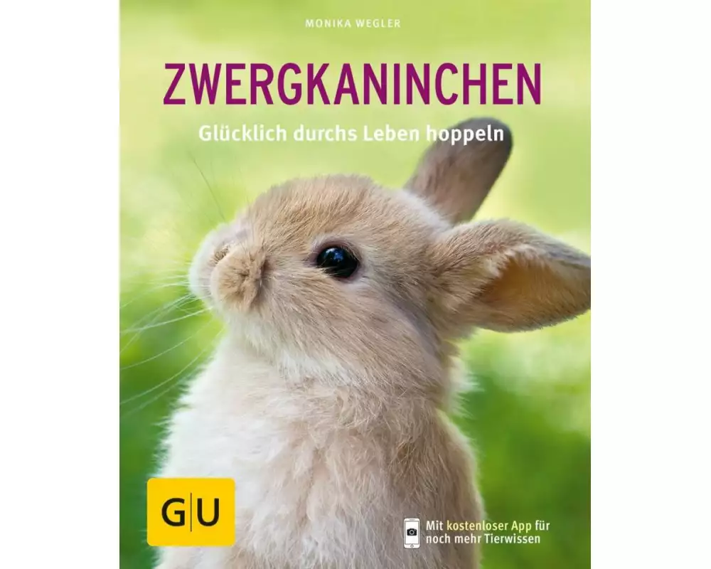 Zwergkaninchen