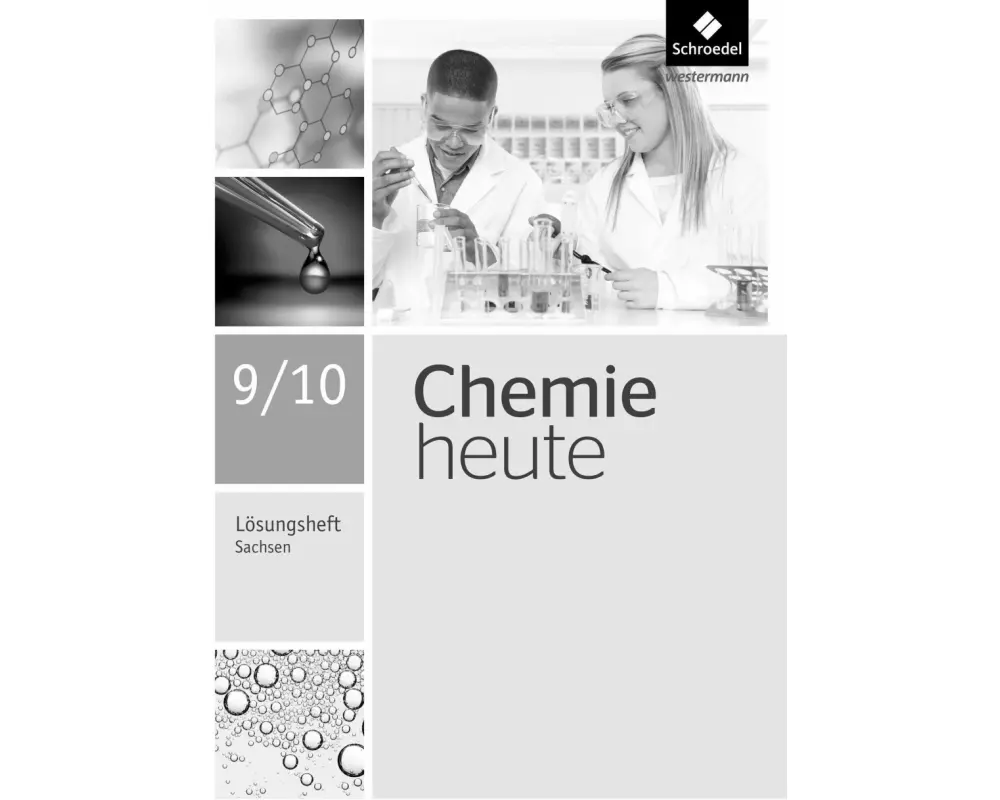 Chemie heute SI - Ausgabe 2013 für Sachsen