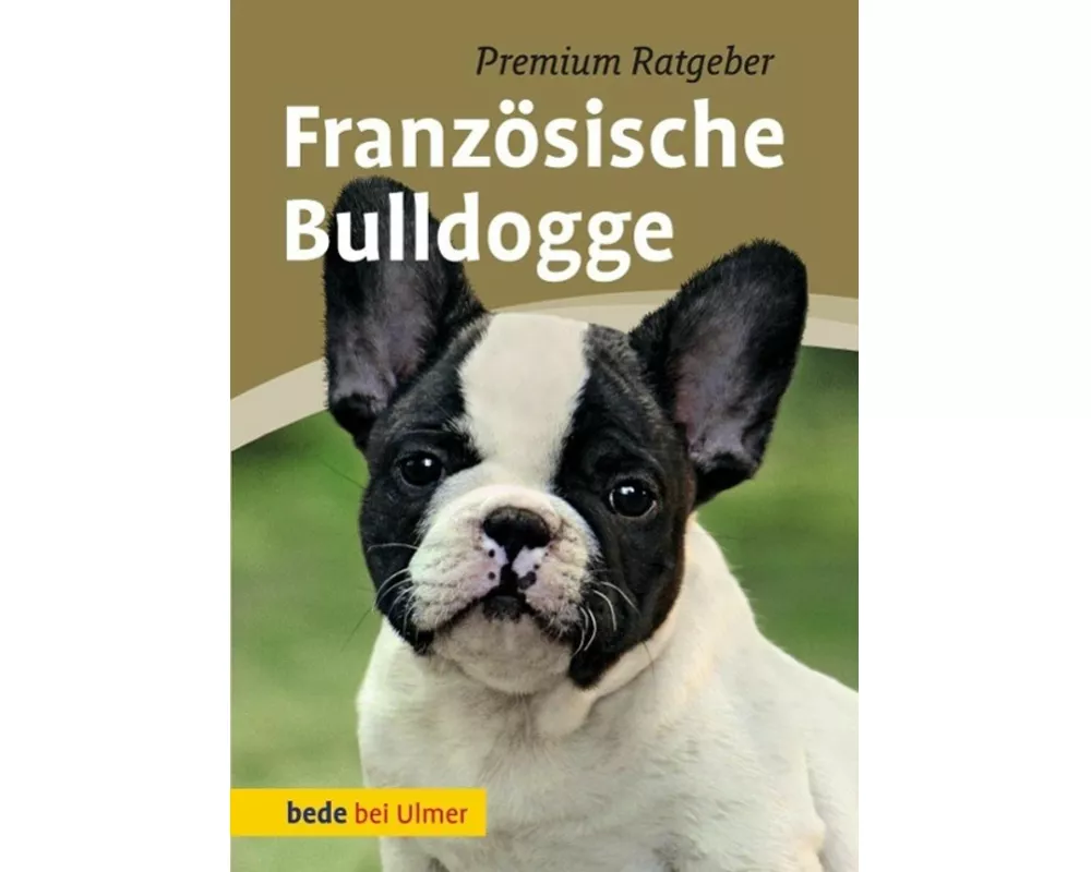 Französische Bulldogge