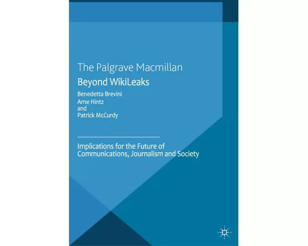 Beyond WikiLeaks