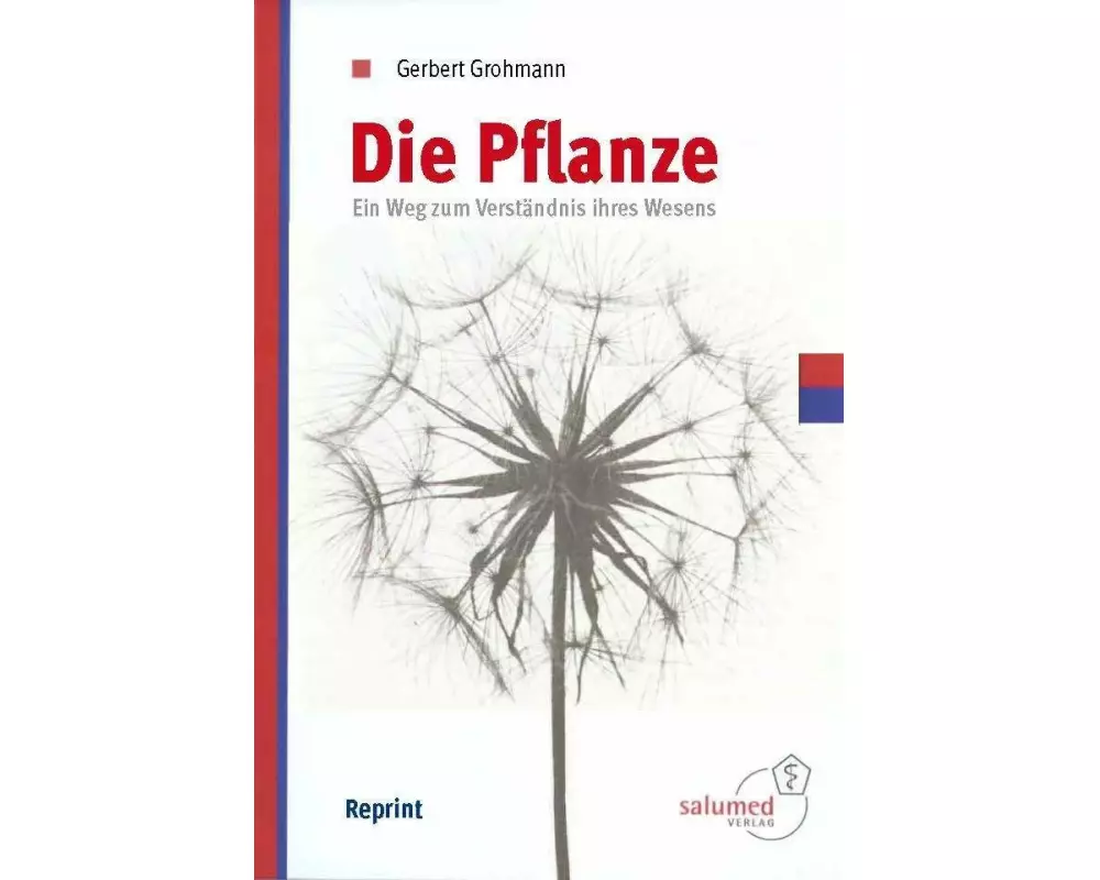 Die Pflanze