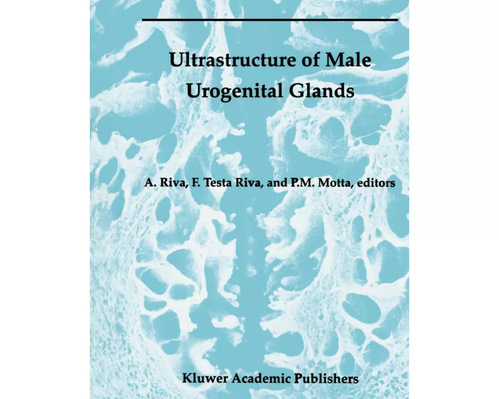 Ultrastructure of the Male Urogenital Glands