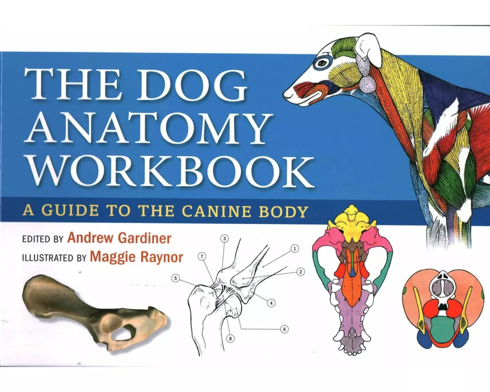 Dog Anatomy Workbook
