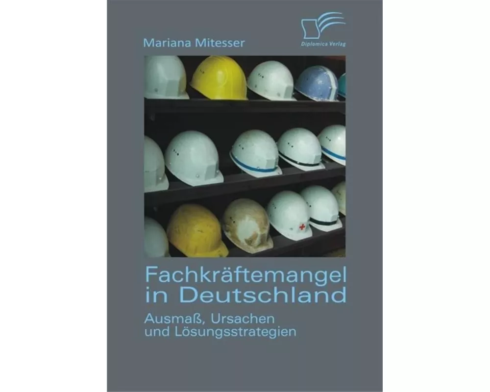Fachkrftemangel in Deutschland: Ausma, Ursachen und Lsungsstrategien