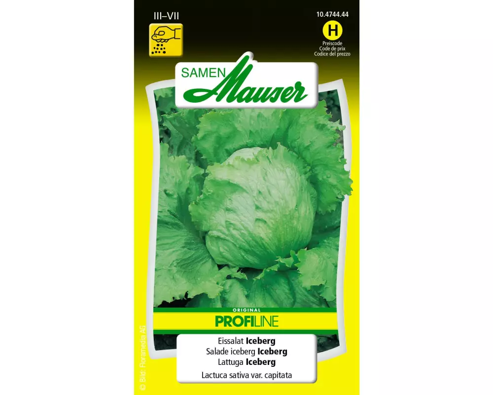 Samen Mauser Samen Profiline Eissalat Iceberg