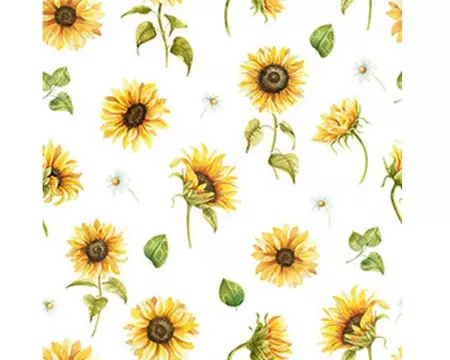 Braun + Company Papierservietten Sunflower blanc de blanc 20 Stück