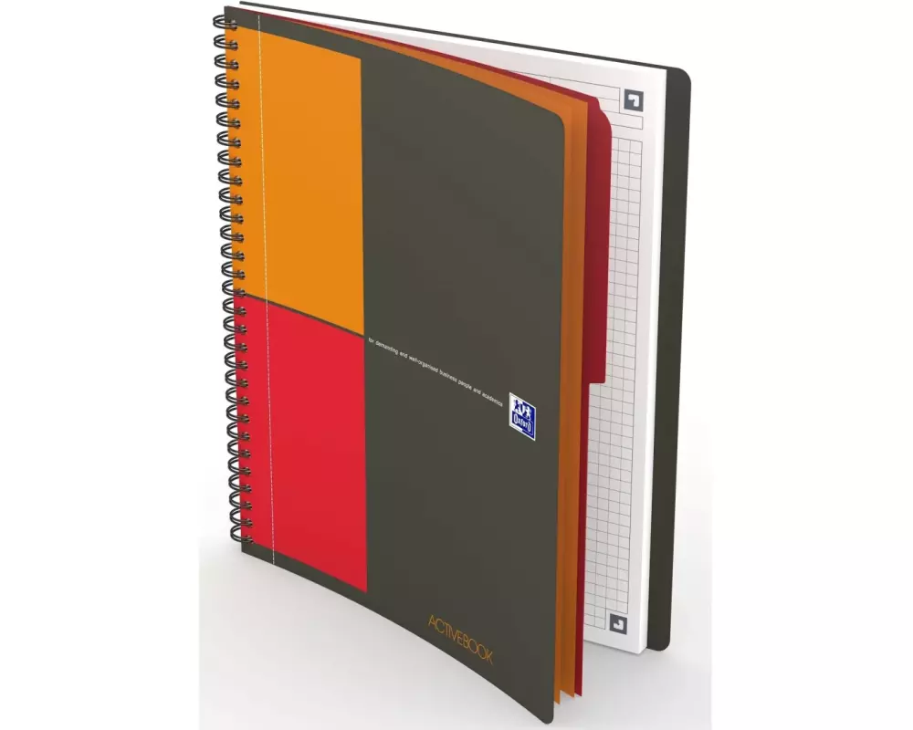 Oxford Notizheft International Activebook, B5, Kariert, Grau