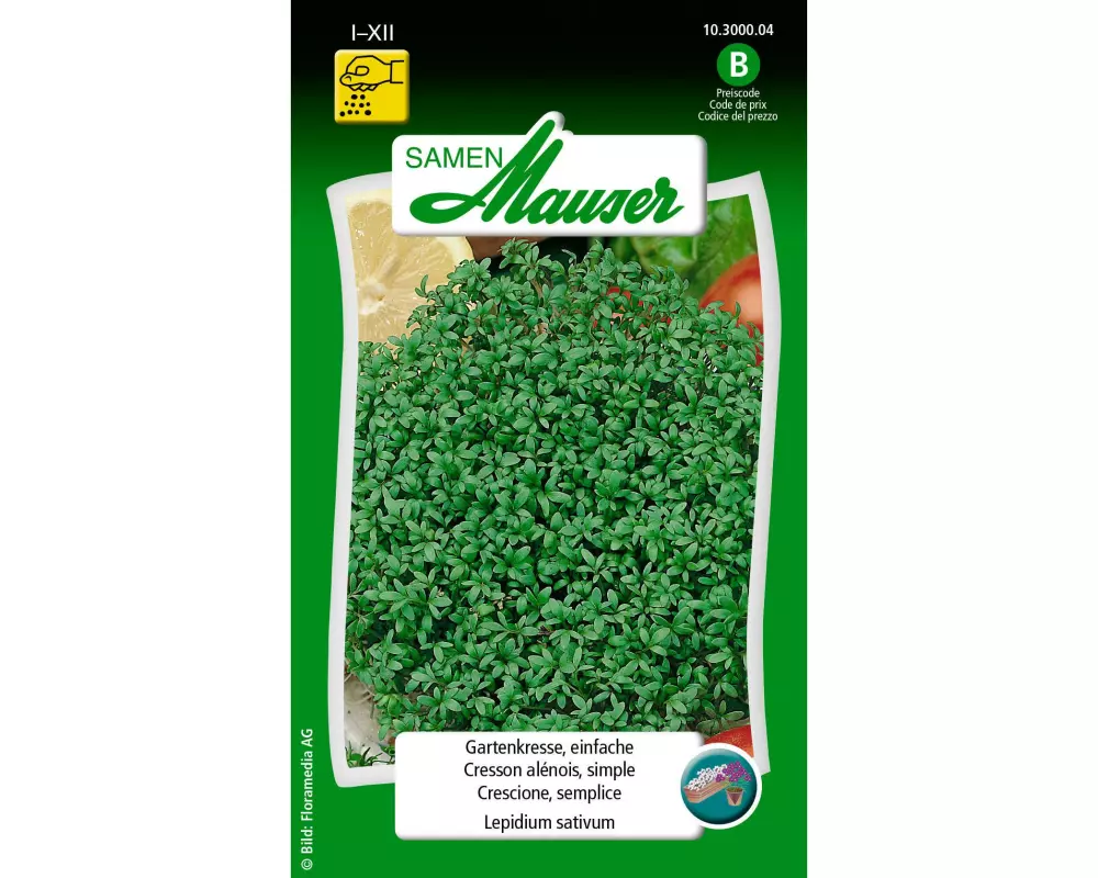 Samen Mauser Samen Gartenkresse, einfache