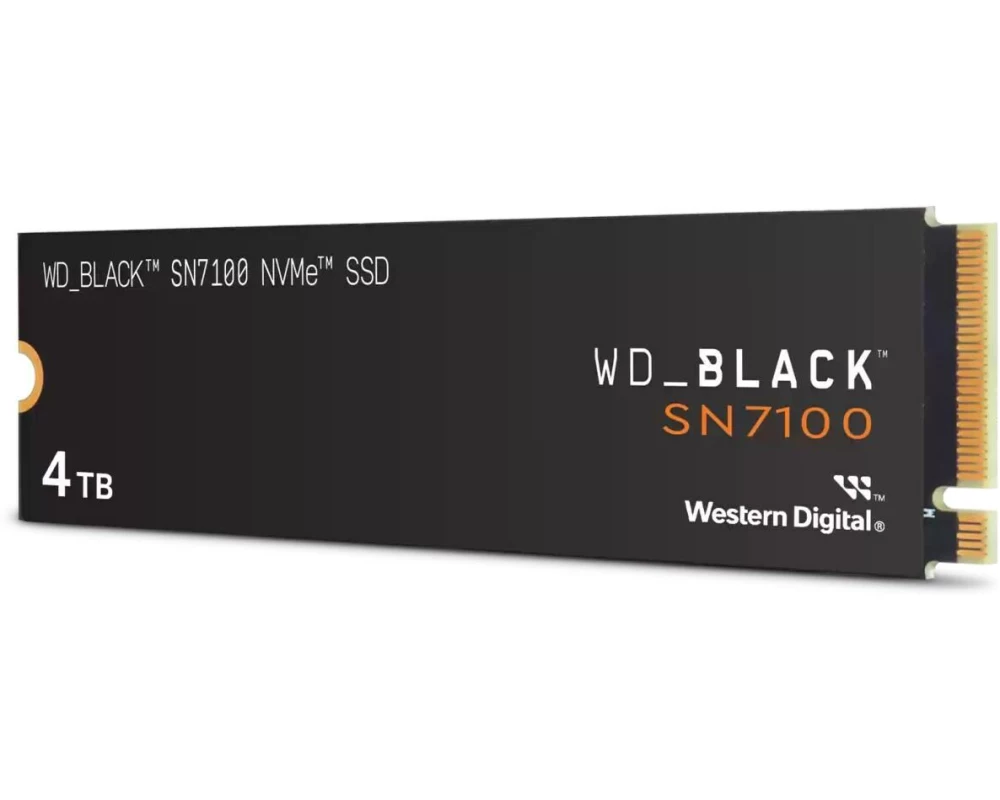 SanDisk SSD SN7100 M.2 NVMe 4000 GB