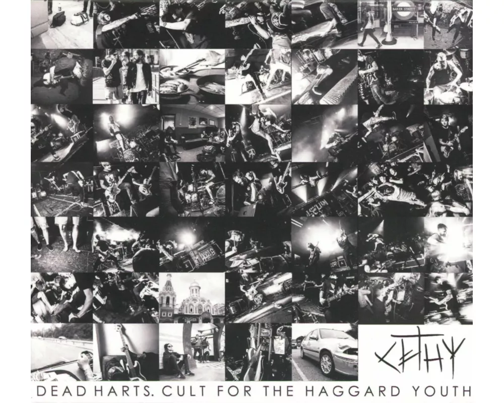 Cult For The Haggard Youth