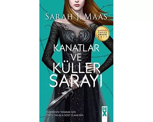 Kanatlar ve Küller Sarayi