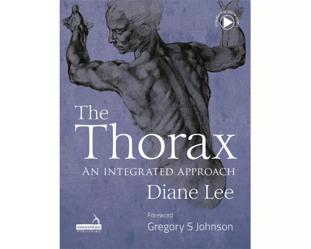 The Thorax