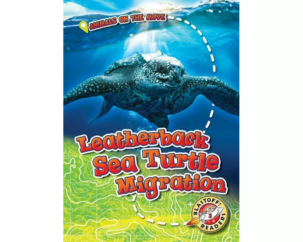 Leatherback Sea Turtle Migration