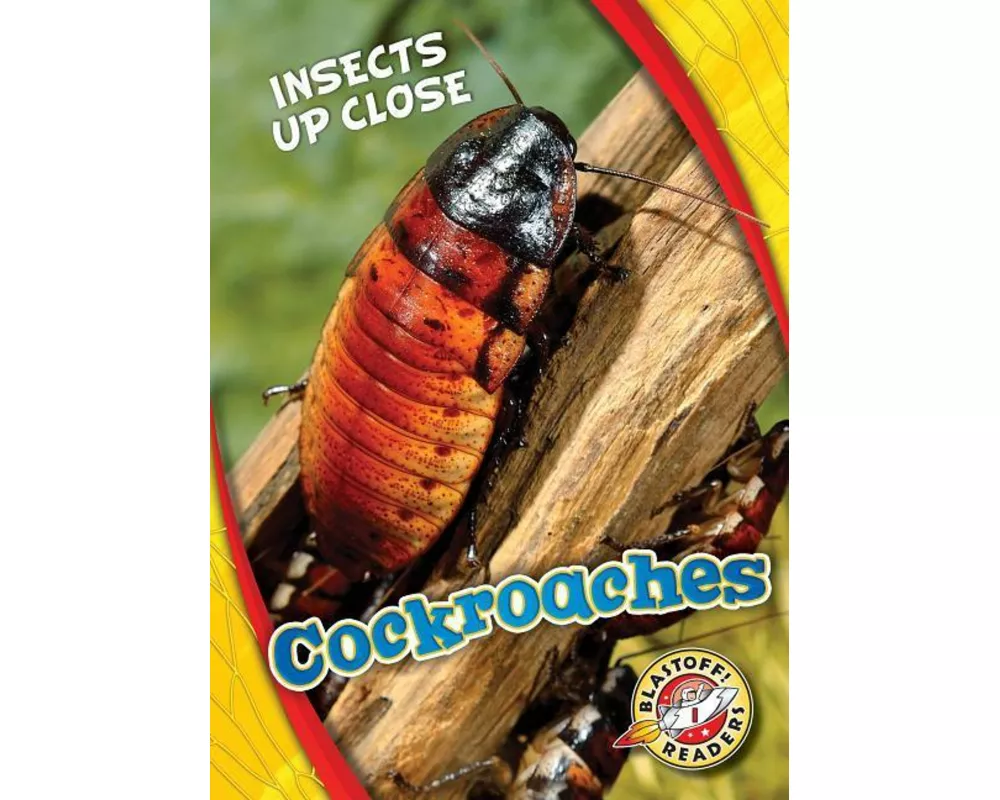 Cockroaches