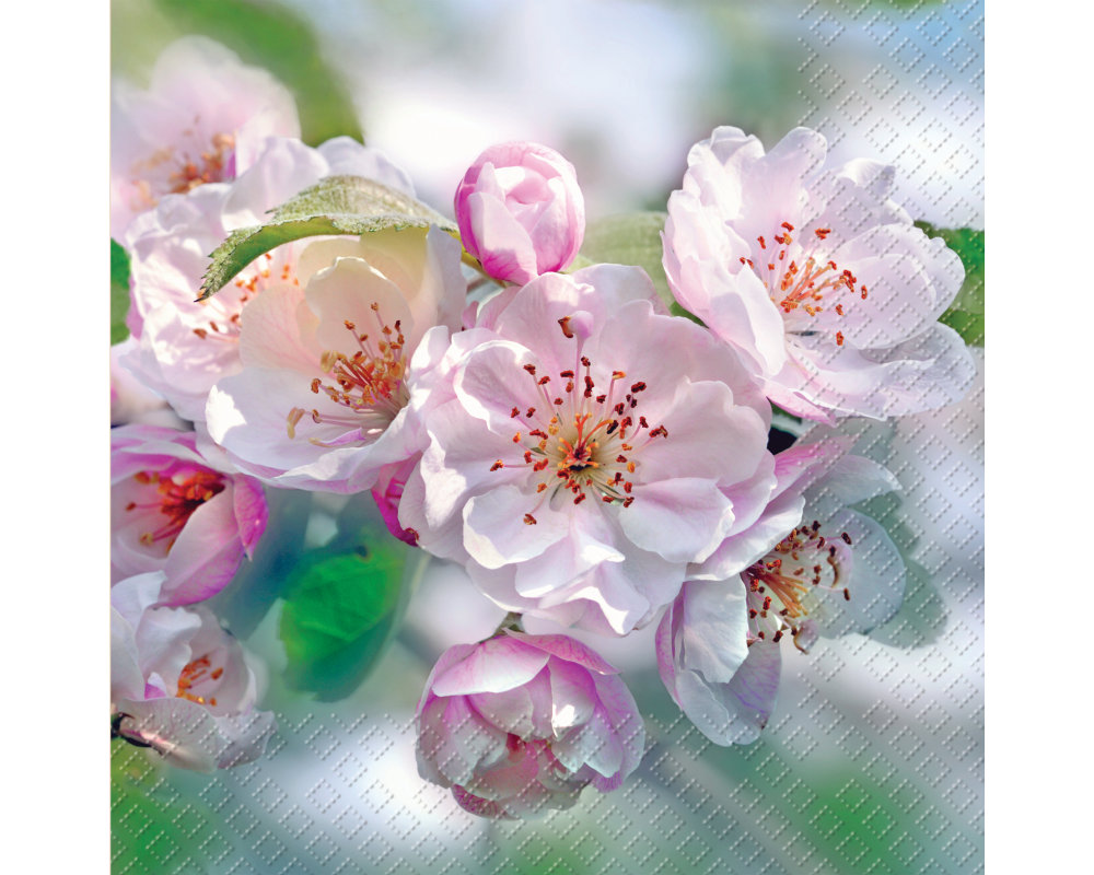 STEWO Serviette Rita 2572619746 hell 33x33cm