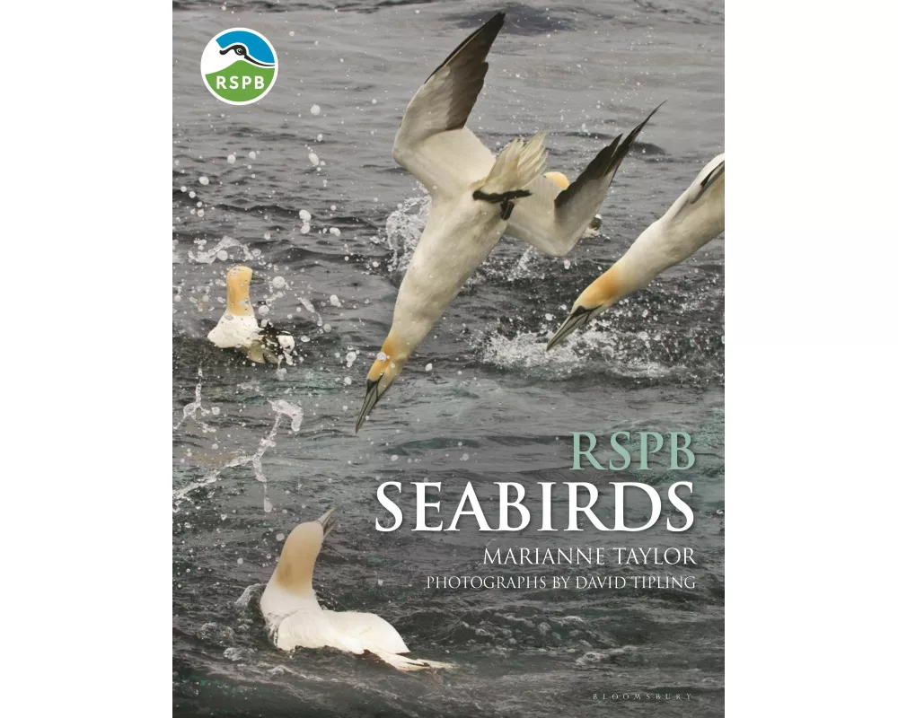 RSPB Seabirds