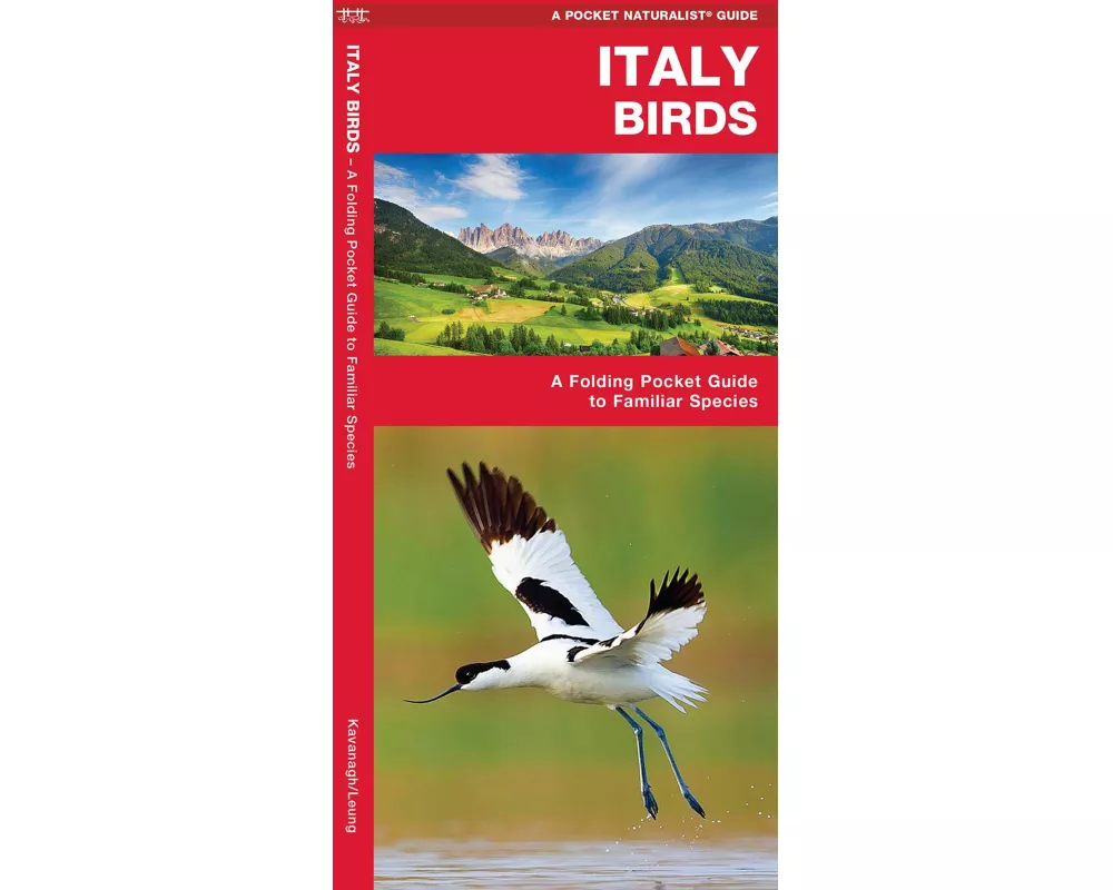 Italy Birds