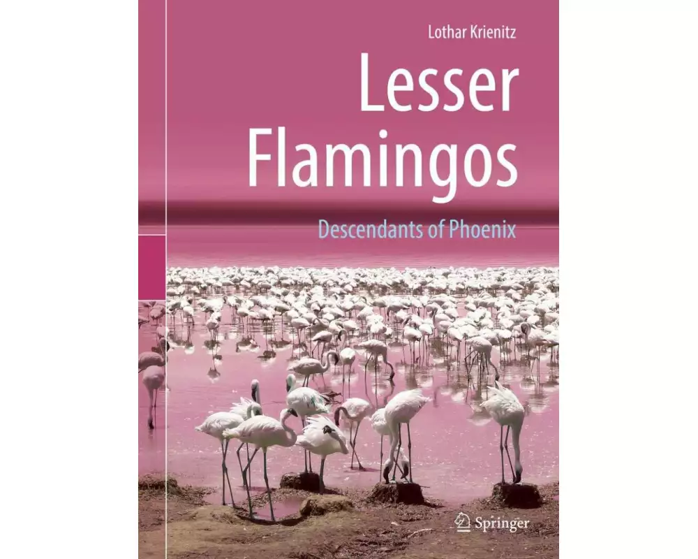 Lesser Flamingos