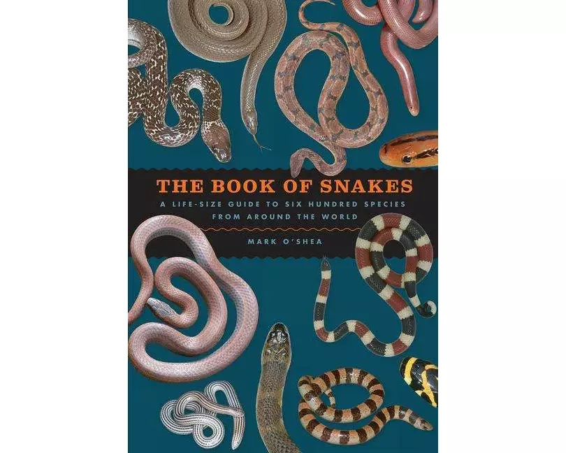 The Book of Snakes
