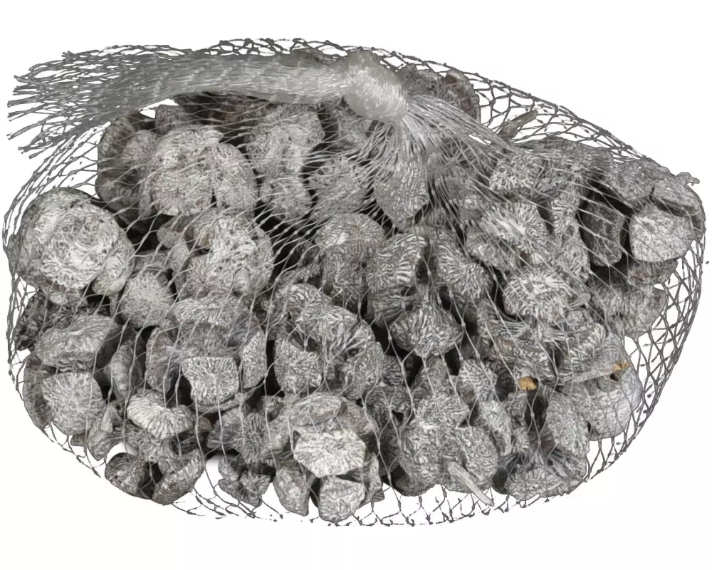 COCON Streudeko Zypressenzapfen, Weiss, 100g