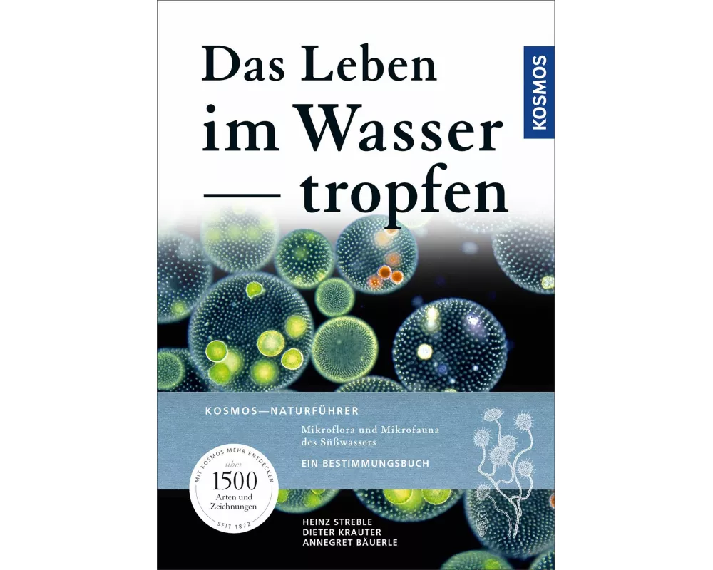 Das Leben im Wassertropfen