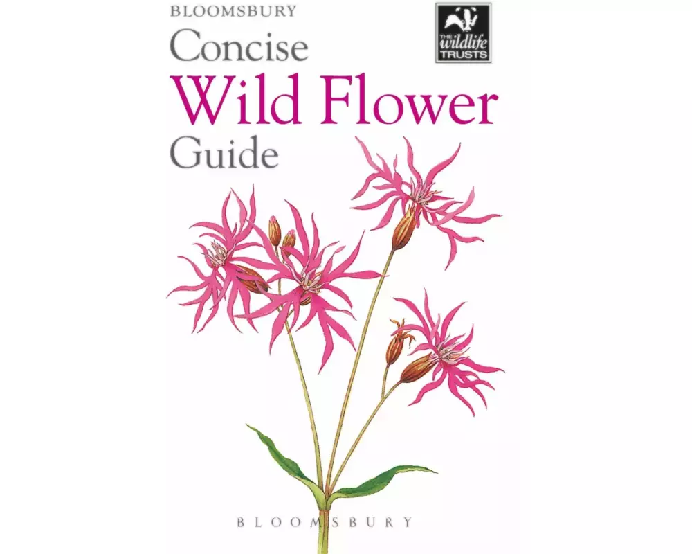 Concise Wild Flower Guide