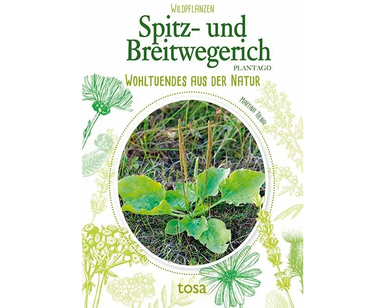 Spitz- und Breitwegerich