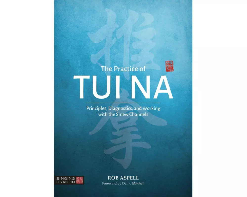 The Practice of Tui Na