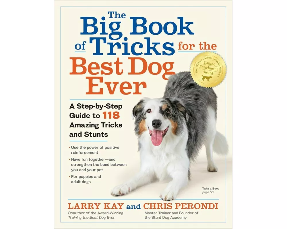 The Big Book of Tricks for the Best Dog Ever