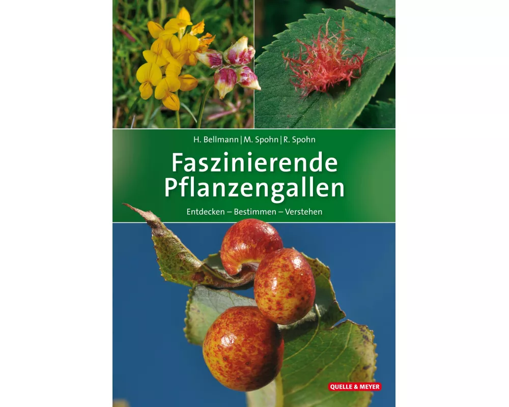 Faszinierende Pflanzengallen
