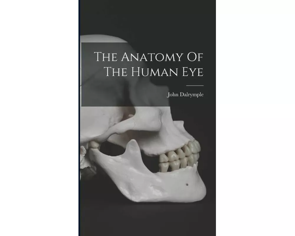 The Anatomy Of The Human Eye