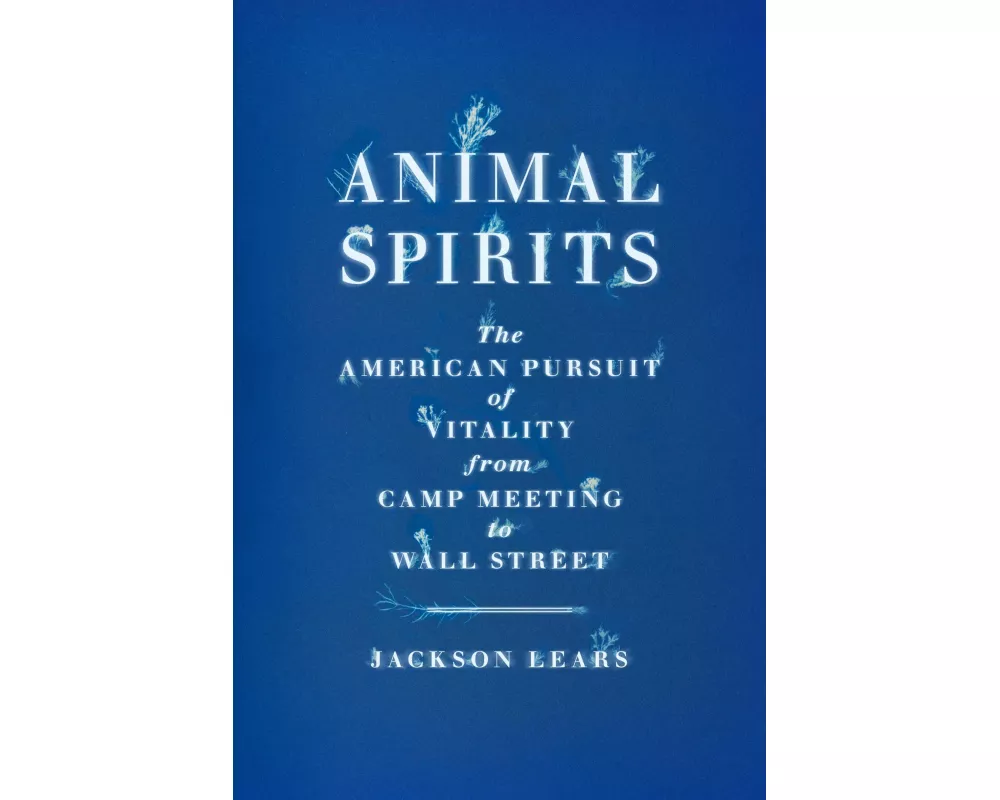 Animal Spirits